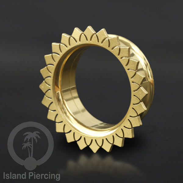 Anting Tindik Plug Stainless warna gold, Ear piercing tunnel banyak variasi dan ukuran