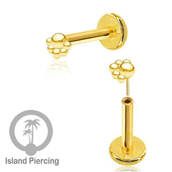 Tindik labret push system, threadless piercing warna gold dengan banyak pilihan model