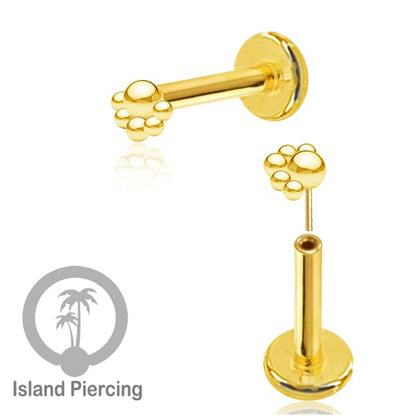 Tindik labret push system, threadless piercing warna gold dengan banyak pilihan model