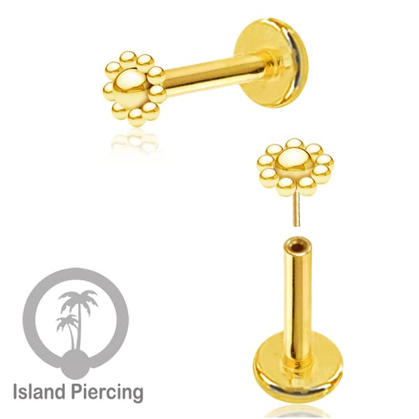 Tindik labret push system, threadless piercing warna gold dengan banyak pilihan model