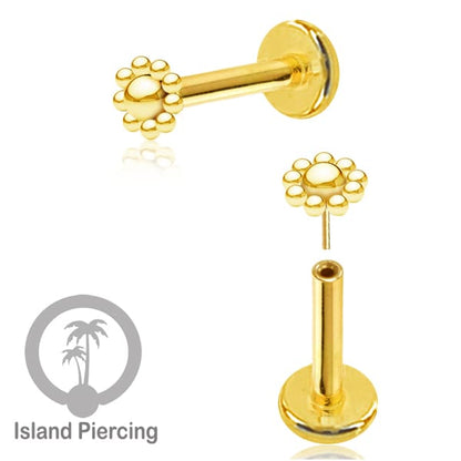 Tindik labret push system, threadless piercing warna gold dengan banyak pilihan model