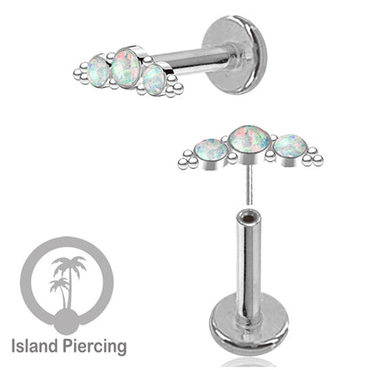 Tindik Labret push system, Threadless Piercing warna silver model Helix dengan batu